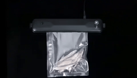 SELLADORA AL VACIO + Rollo 5 mts